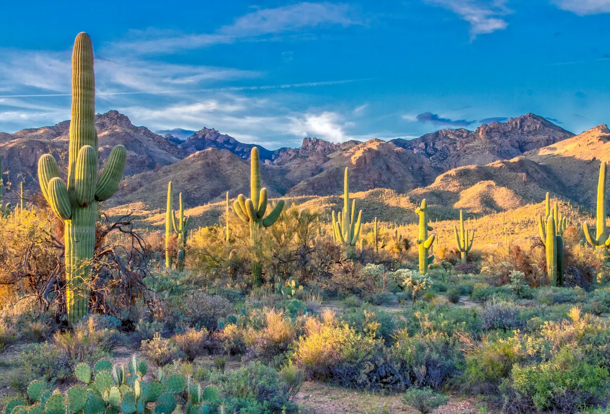 SEO & GEO Consultant Arizona