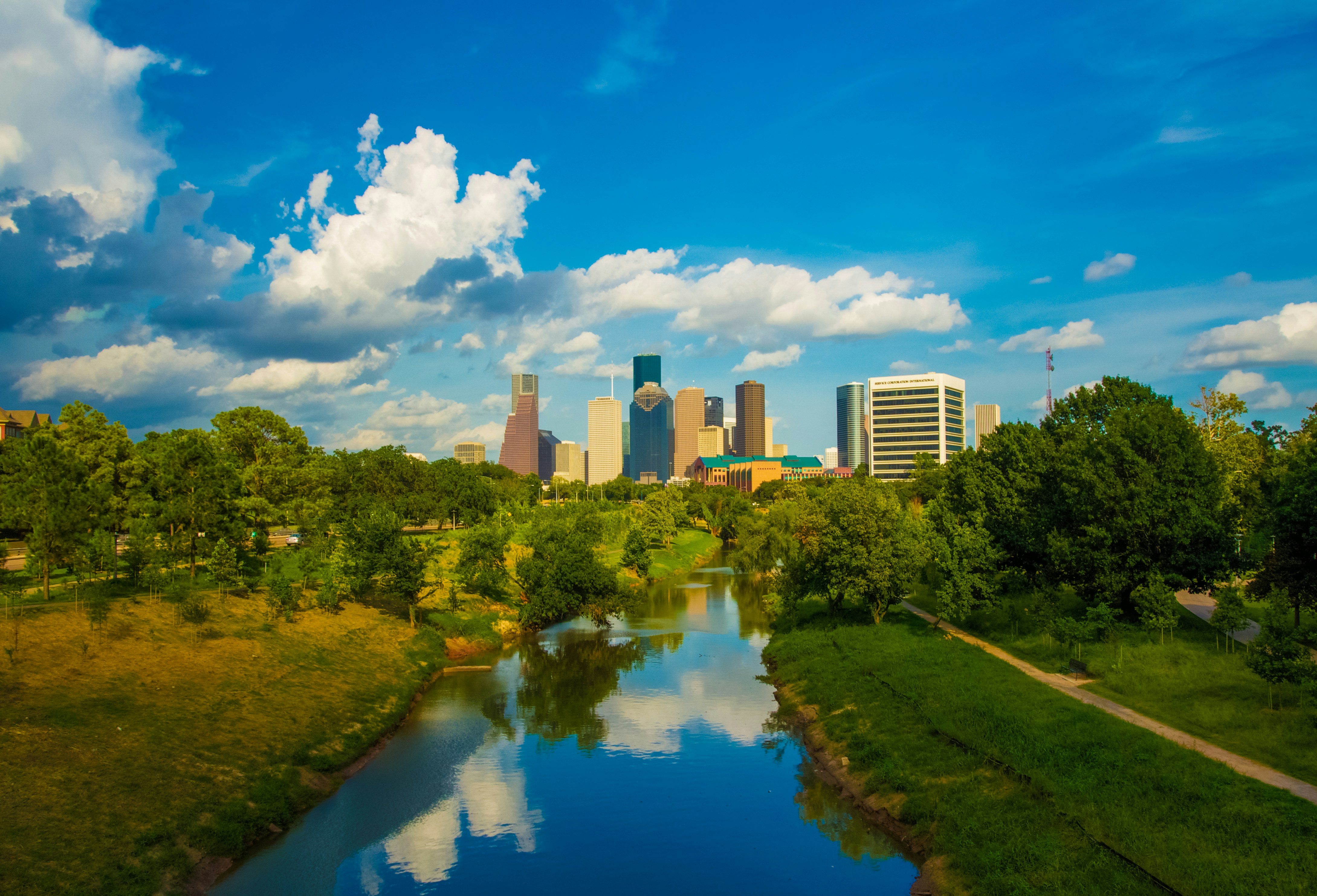 SEO & GEO Consultant Houston