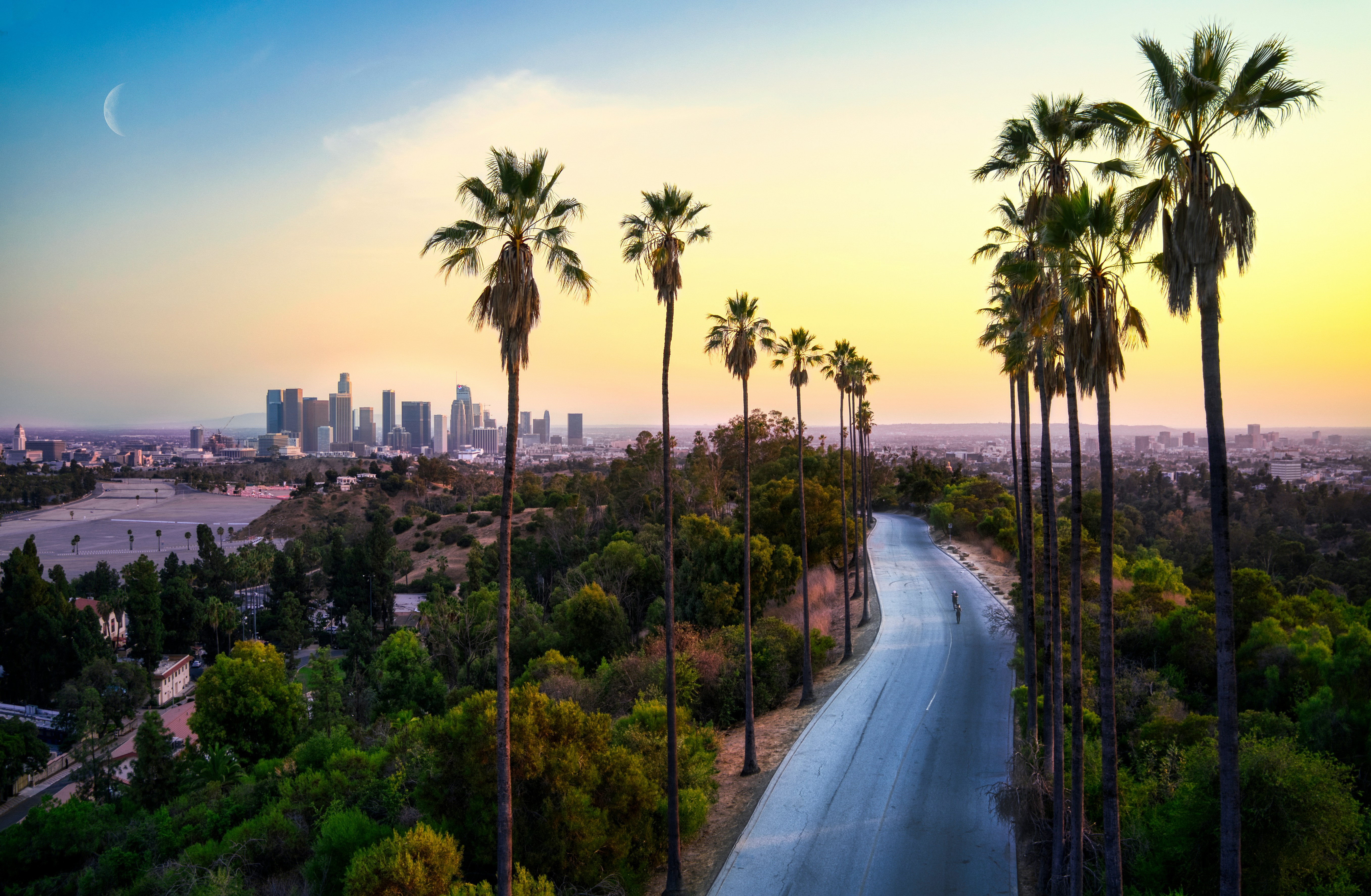 SEO & GEO Consultant Los Angeles