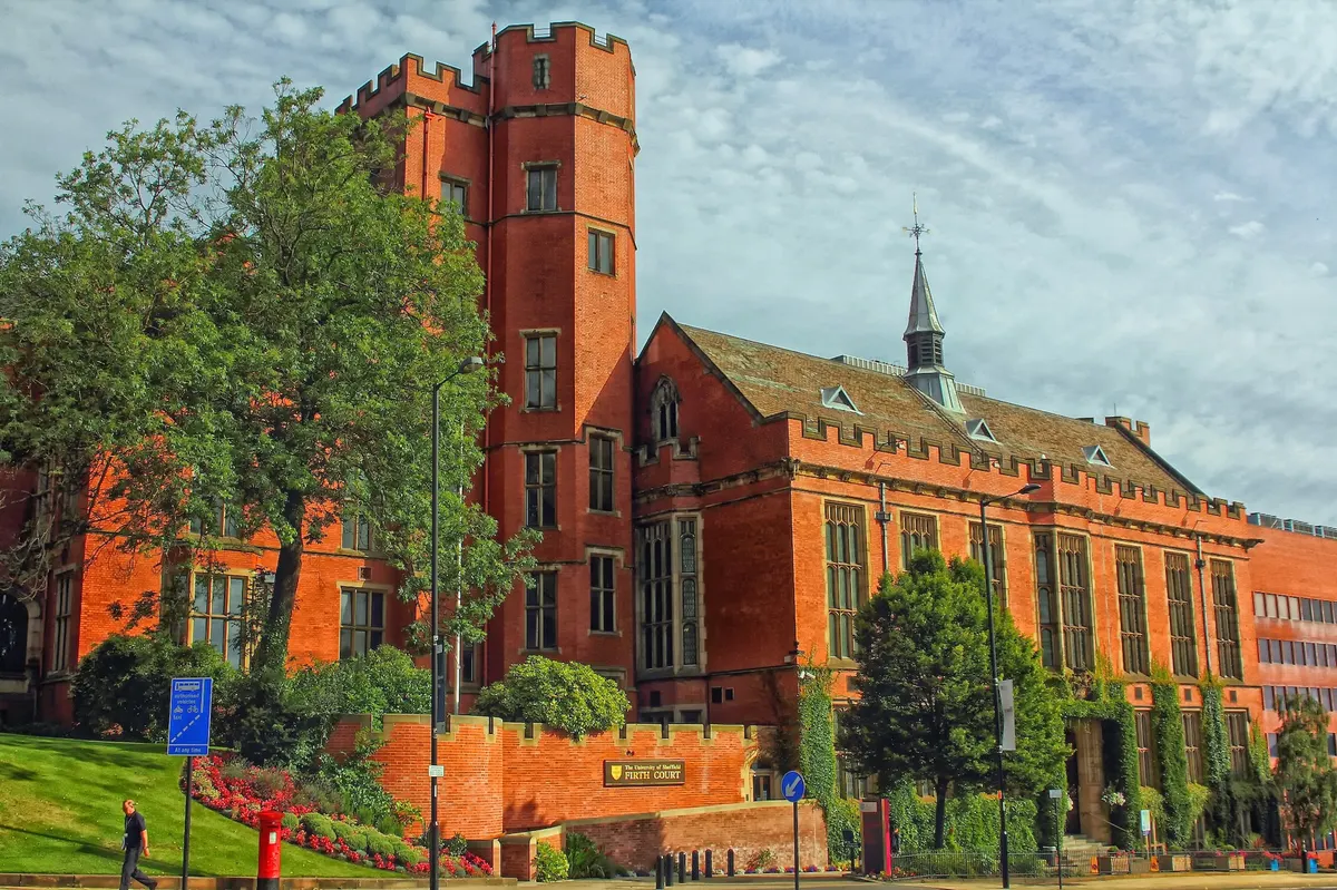 SEO & GEO Consultant Sheffield