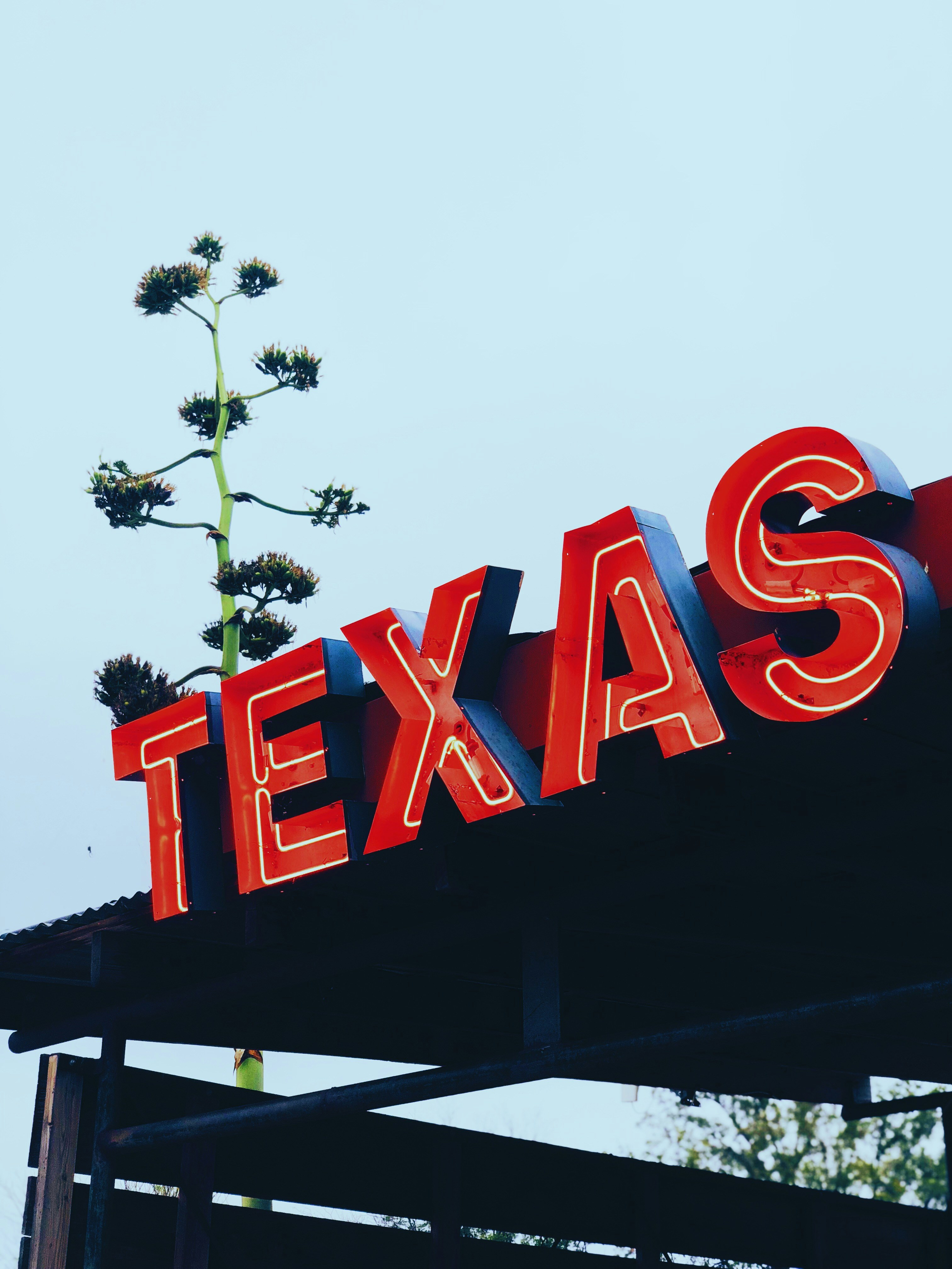 SEO Consultant Texas